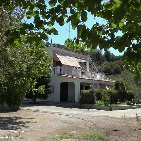 Το Κτήμα Της Ελιάς Του Τάκη Casa de hóspedes Paralia Demonias Exterior foto