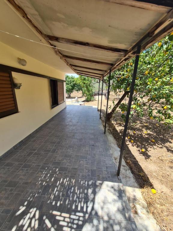 Το Κτήμα Της Ελιάς Του Τάκη Casa de hóspedes Paralia Demonias Exterior foto