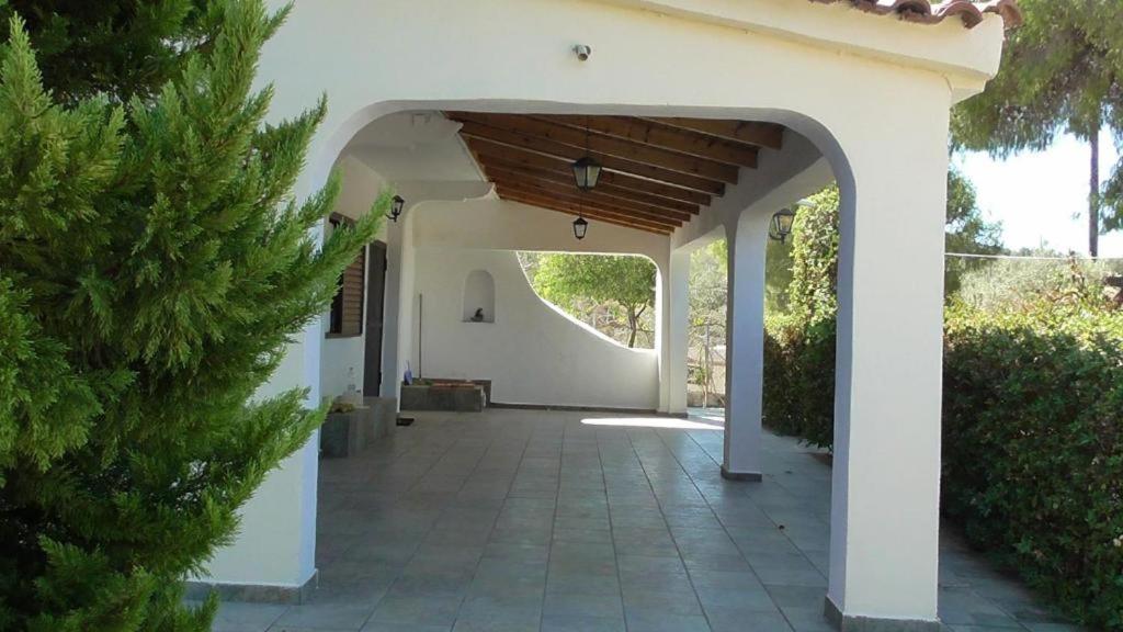 Το Κτήμα Της Ελιάς Του Τάκη Casa de hóspedes Paralia Demonias Exterior foto