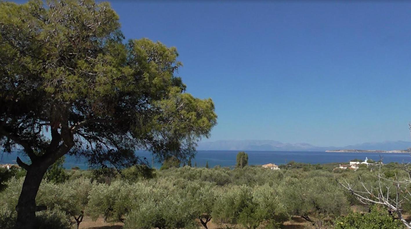 Το Κτήμα Της Ελιάς Του Τάκη Casa de hóspedes Paralia Demonias Exterior foto