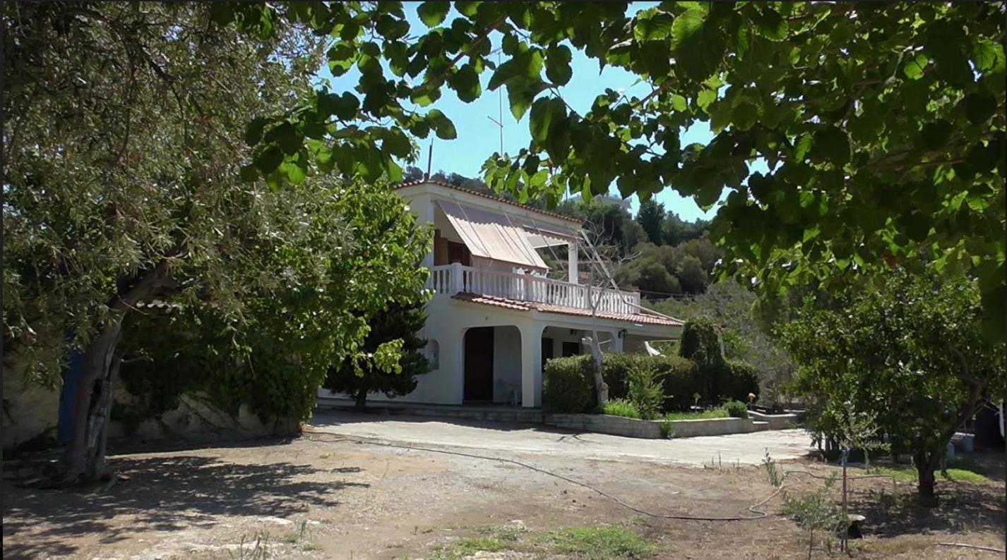Το Κτήμα Της Ελιάς Του Τάκη Casa de hóspedes Paralia Demonias Exterior foto