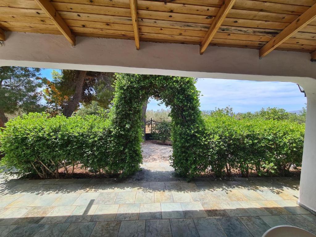 Το Κτήμα Της Ελιάς Του Τάκη Casa de hóspedes Paralia Demonias Exterior foto